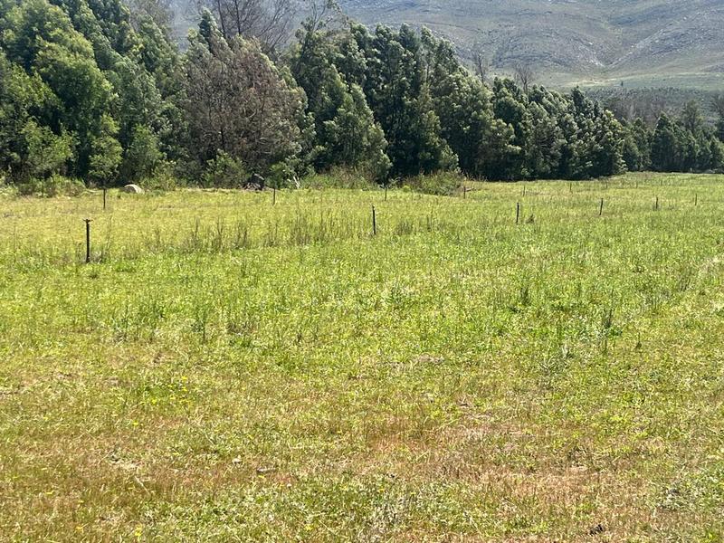 0 Bedroom Property for Sale in George Rural Western Cape